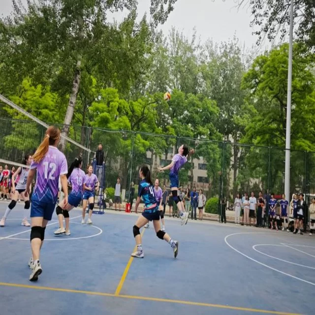乒乓球冠军竞争格局的全新解读与数据视角分析
